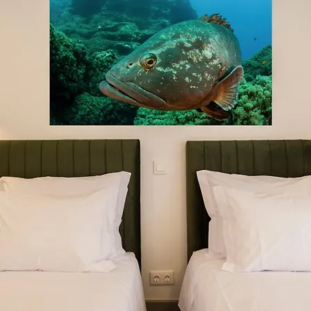 Azimute1 T2 Moderno Centro Historico Angra *